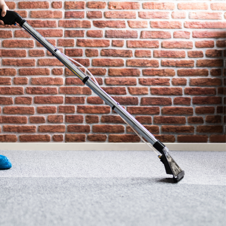 Carpet Cleaning in Tehachapi, CA