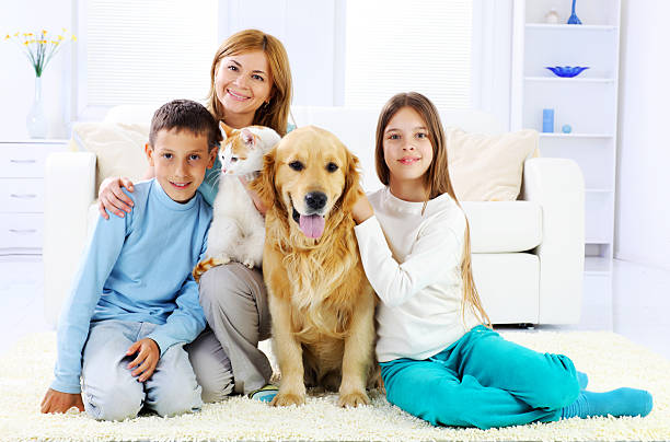 Pet Spot Cleaning in Tehachapi, CA